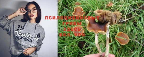 PSILOCYBIN Балахна