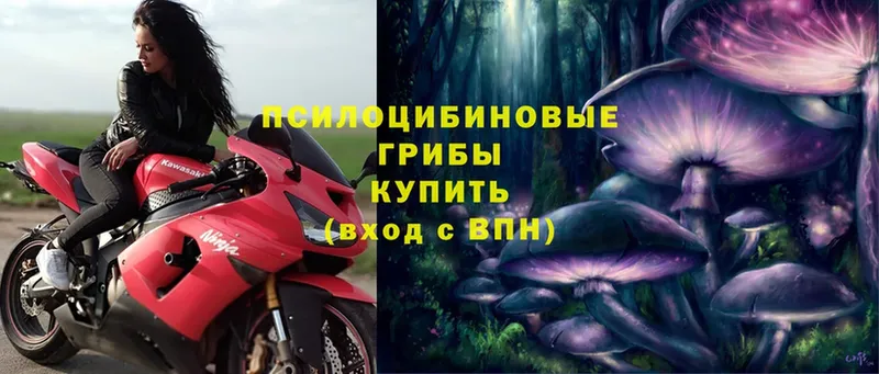 Галлюциногенные грибы MAGIC MUSHROOMS  ОМГ ОМГ рабочий сайт  Канск  как найти закладки 