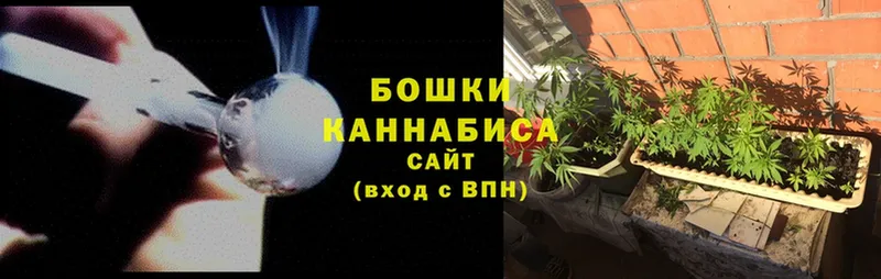 наркотики  Канск  Каннабис индика 